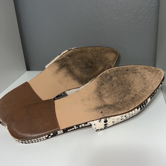 Steve Madden Ally Flats Slide Mule In Cream Snakeskin Size 7 - Picture 7 of 8
